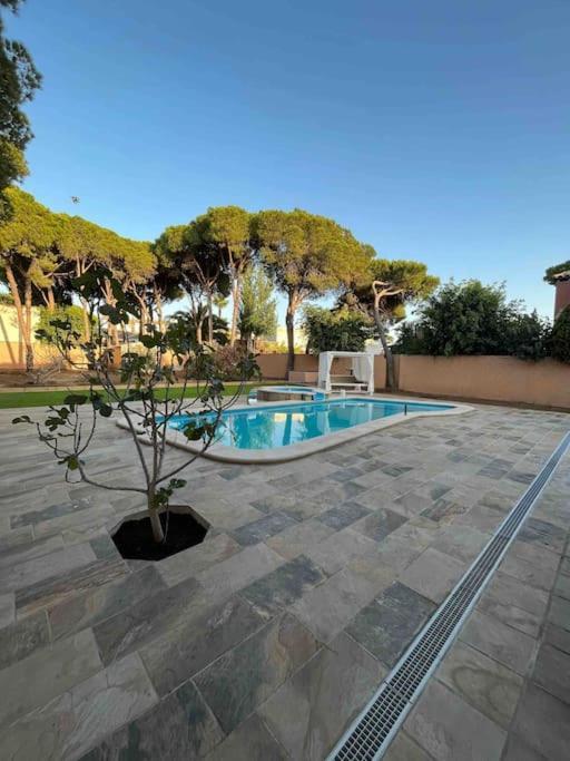 Villa Brasilia Chiclana de la Frontera Εξωτερικό φωτογραφία