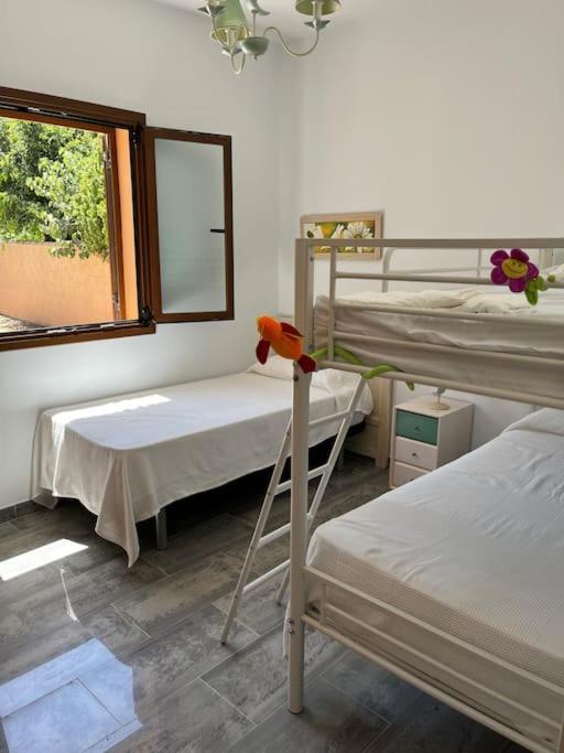 Villa Brasilia Chiclana de la Frontera Εξωτερικό φωτογραφία